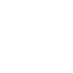 WINT logo